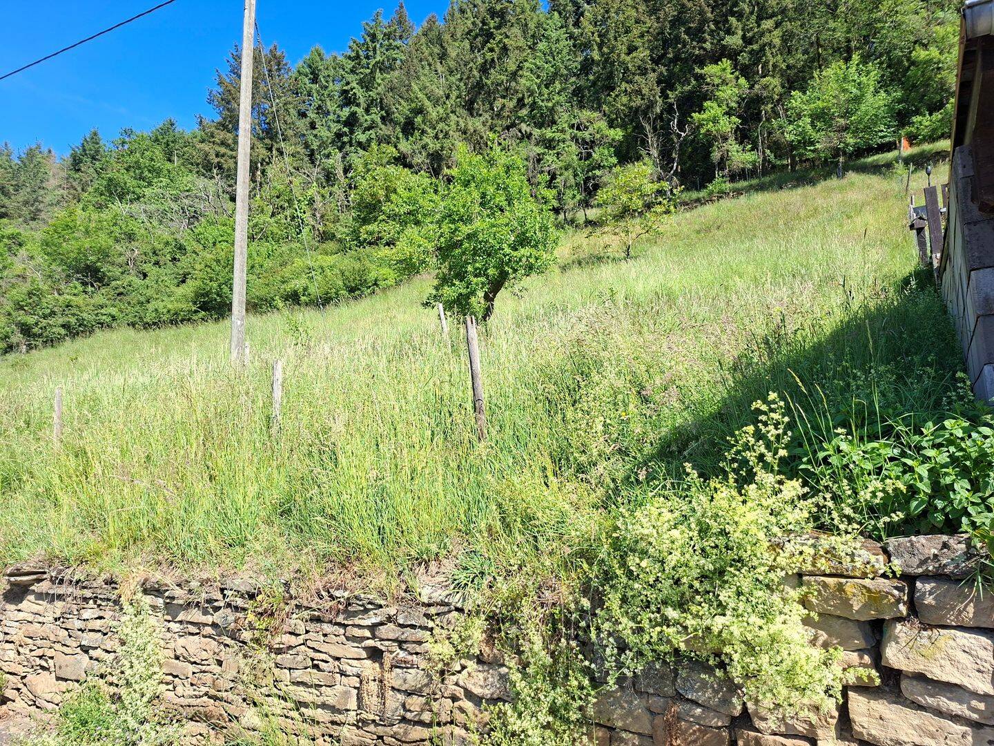 Baugrundstück Ortslage Schmittweiler + Erholungsflächen in Schmittweiler zu verkaufen, 67829 Schmittweiler