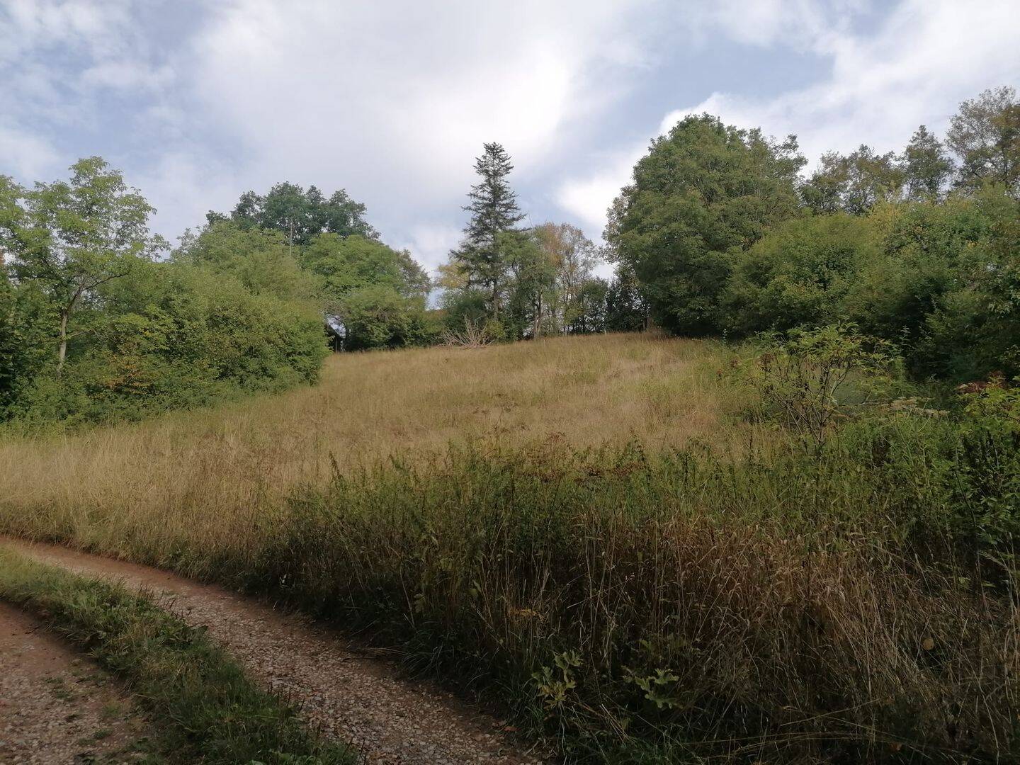 Großes sonniges Naturgrundstück bei Wilhermsdorf – Provisionsfrei!, 91452 Wilhermsdorf