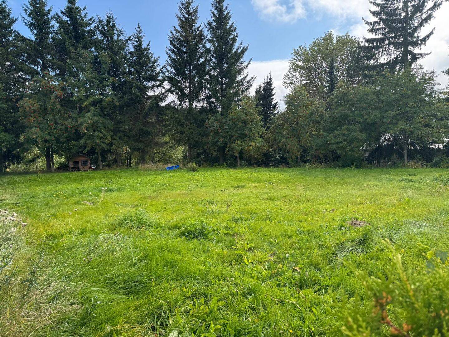 Schönes Baugrundstück in Oberwiesenthal!, 9484 Oberwiesenthal