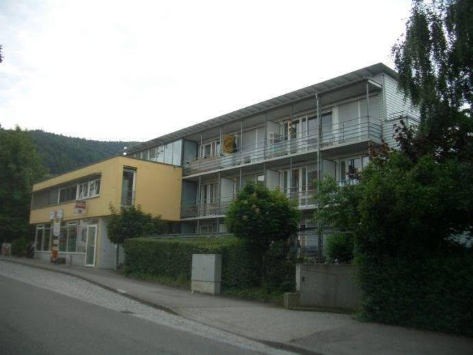 TOP-Studenten-DG-Wohnung an der PH, 79117 Freiburg im Breisgau