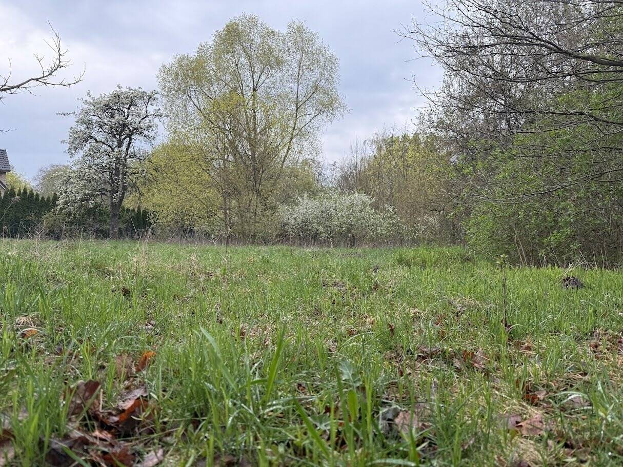 Wohnen direkt am Wald in Brieselang/Nord von Privat, 14656 Brieselang