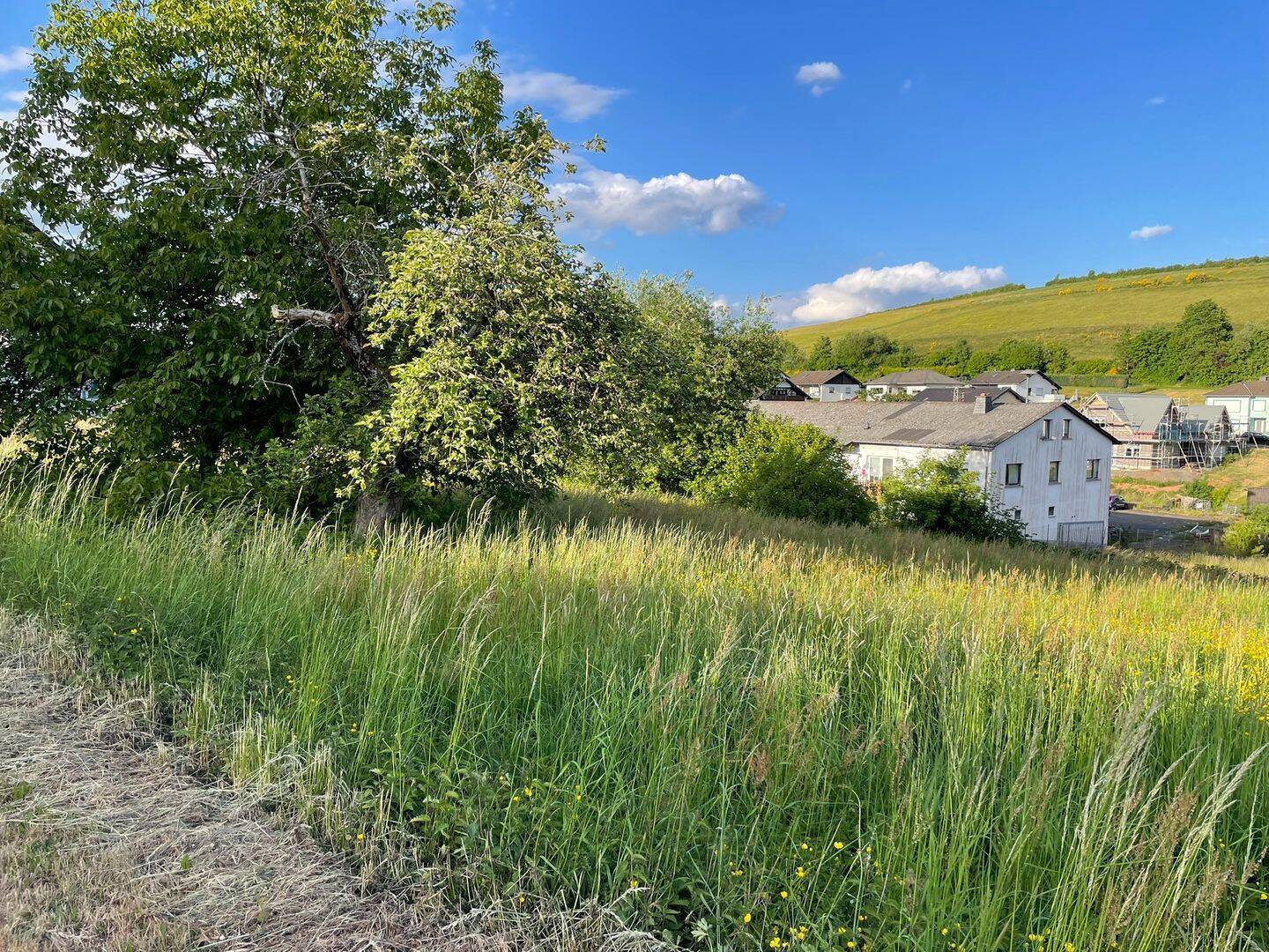 **Baugrundstück in Burbach-Eifel zu kaufen**, 54597 Burbach