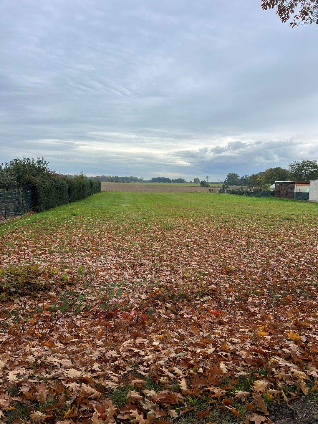 Großzügiges Grundstück mit Panoramablick ins Grüne, 3058 Neuhausen/Spree