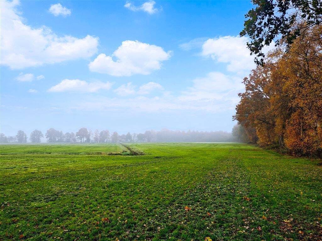 Grünland im Nordenholzermoor!, 27798 Hude (Oldb) (Hude)