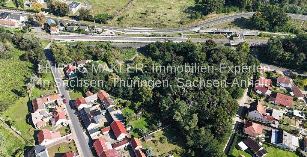 Großzügiges Grundstück mit hauseigenem Wald für Ihre Traumvilla, 15806 Zossen