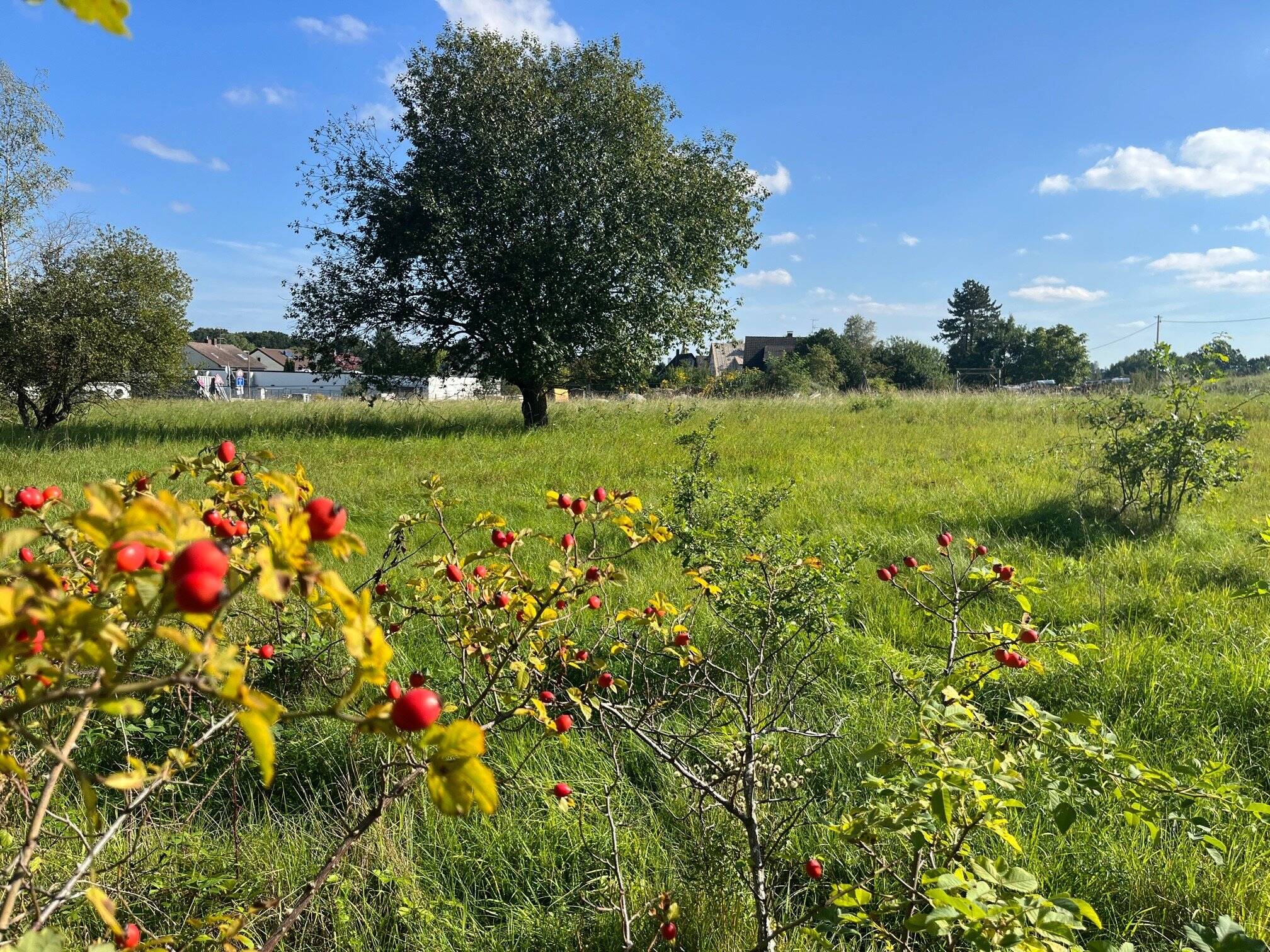 Baugrundstück in Heroldsberg, 90562 Heroldsberg