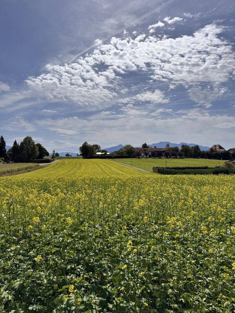 Baugrundstück mit Bergblick in Breitbrunn am Chiemsee, 83254 Breitbrunn a. Chiemsee