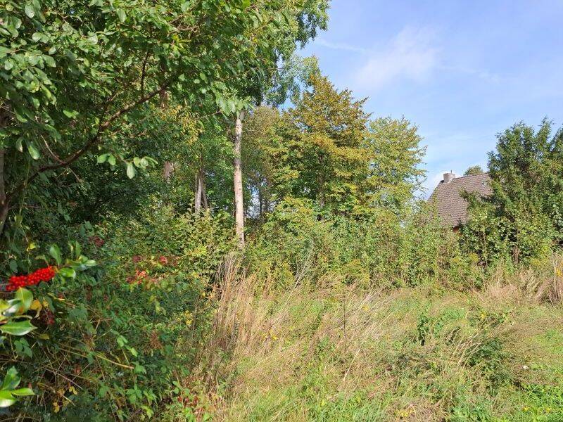 Baugrundstück auf Erbpachtbasis, 29320 Südheide