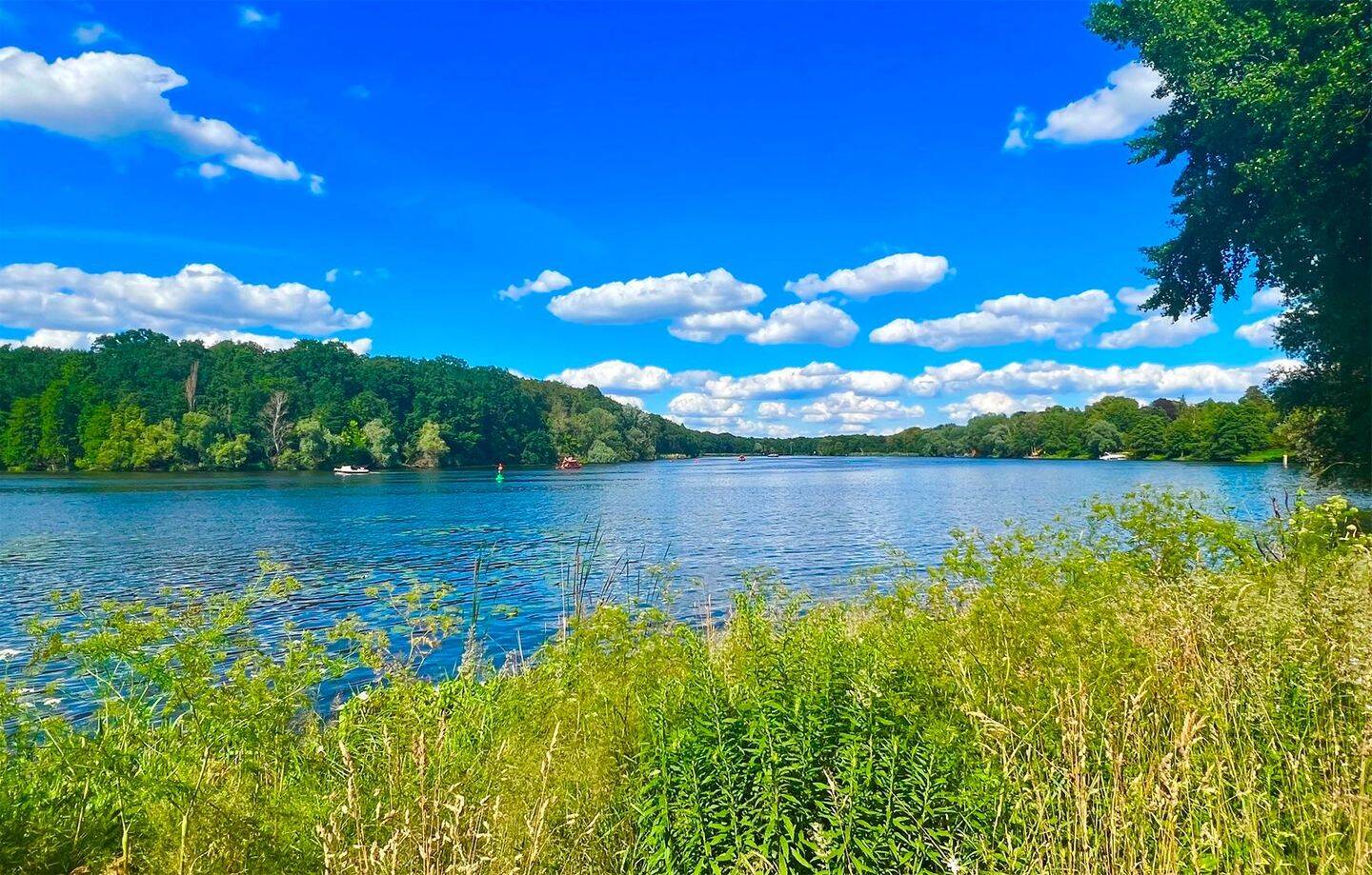 EXKLUSIVES 6-ZIMMER-ARCHITEKTENHAUS – 620 qm unensehbares Grundstück- 300 Meter zum See, 14129 Berlin (Steglitz-Zehlendorf Nikolassee Zehlendorf Schlachtensee)