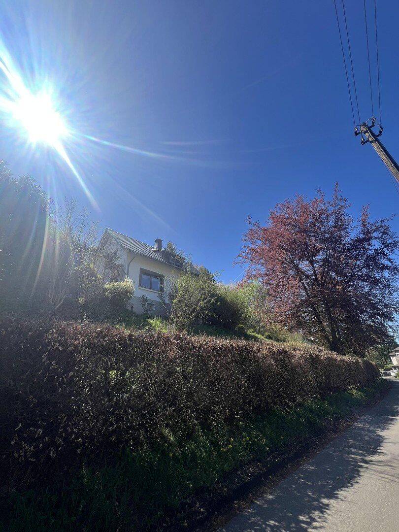 Freistehendes Einfamilienhaus auf 6.360 m² befahrbarem Hanggrundstück nahe Bad Münstereifel, 53902 Bad Münstereifel