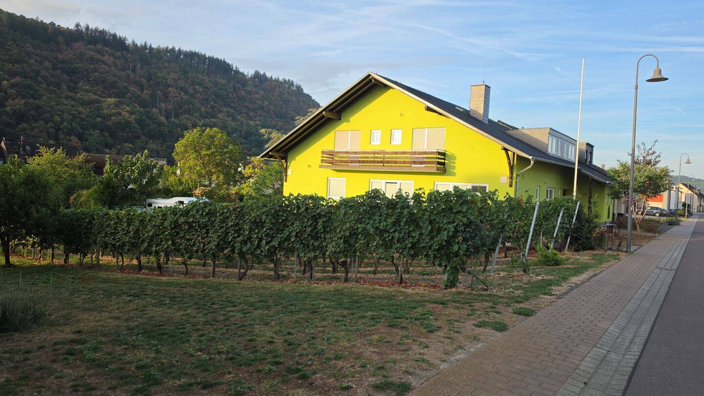 Haus, 12 Zimmer, 375 m², in Mehring, 54346 Mehring