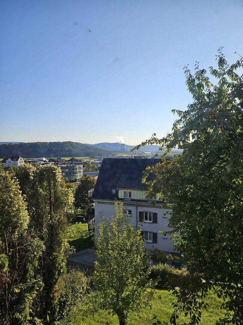 Renovierte, zentralgelegene 1-Zi. Whg. mit Balkon und Alpensicht, 79761 Waldshut-Tiengen