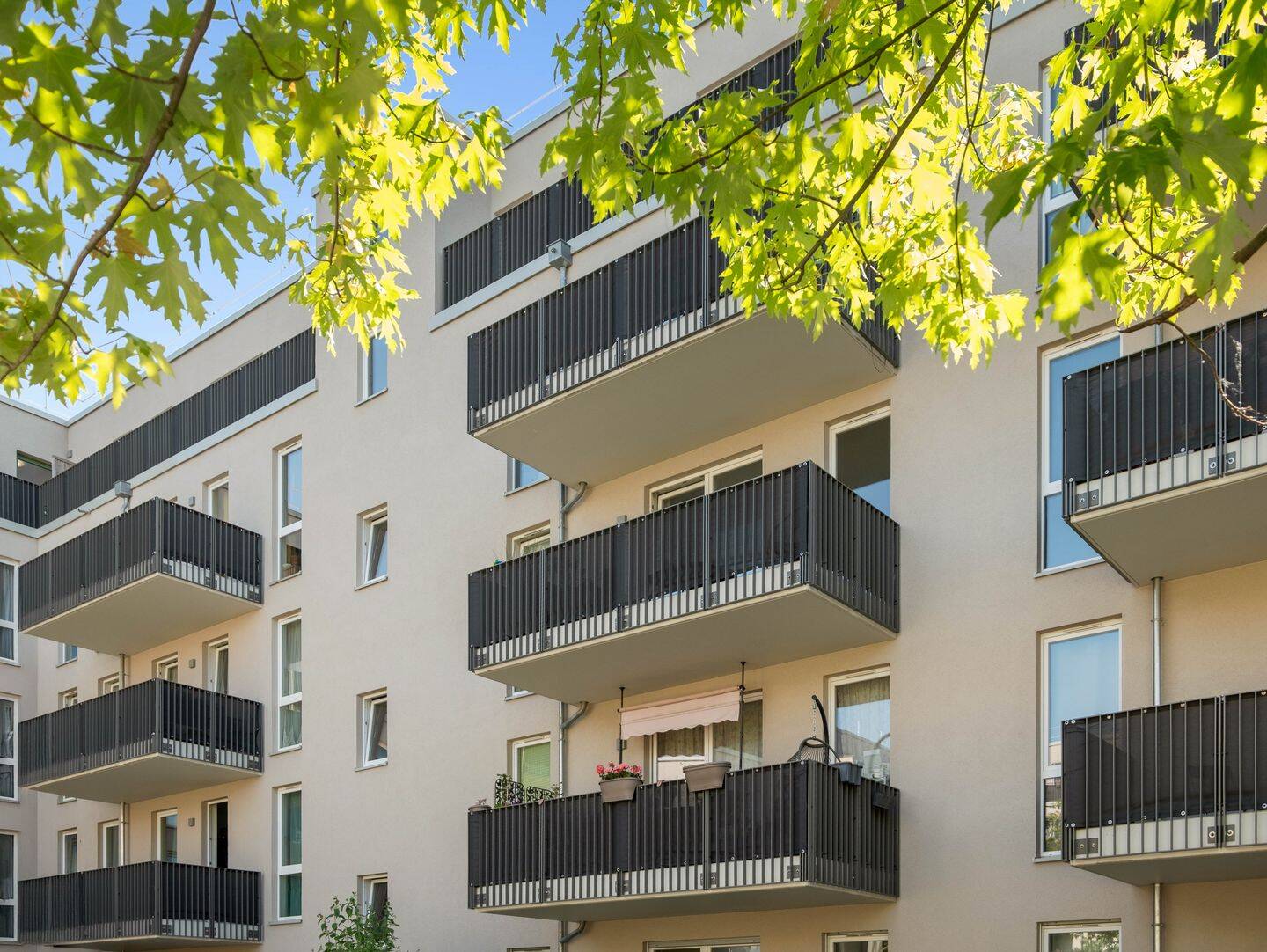 Einziehen und wohlfühlen – 2-Zimmer Wohnung im Neubau, 13086 Berlin (Pankow Weißensee)
