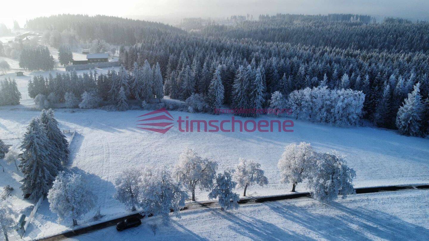 *Traumhaft gelegenes Randgrundstück in Ilmenau zu verkaufen*, 98711 Ilmenau