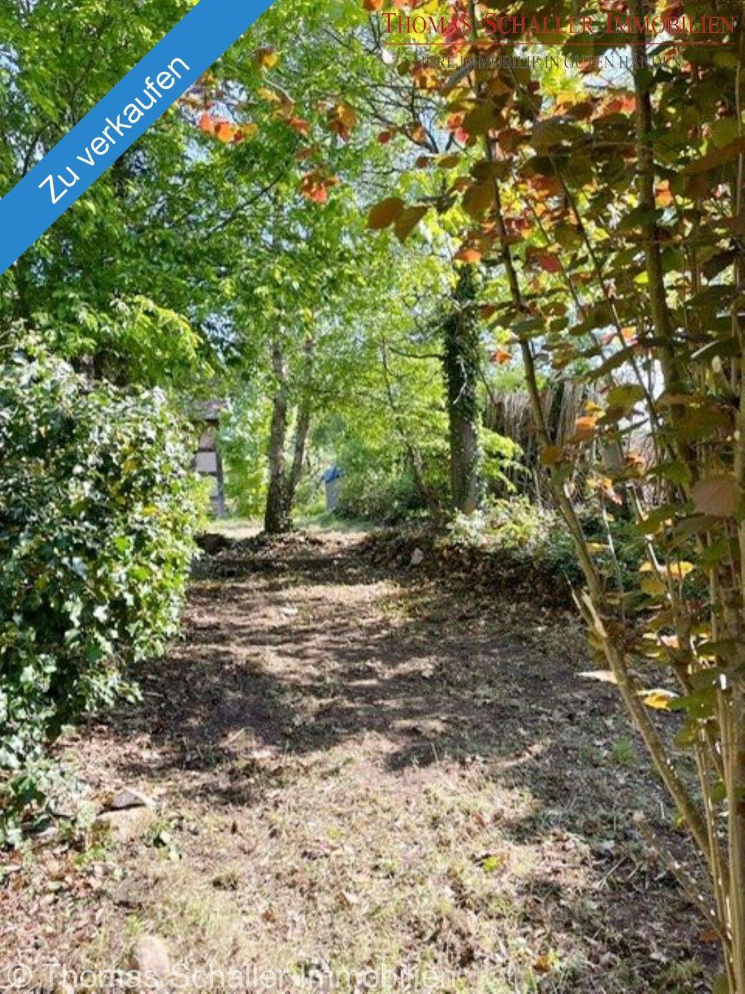 Baugrundstück mit Altbestand in Pyrbaum OT Oberhembach, 90602 Pyrbaum