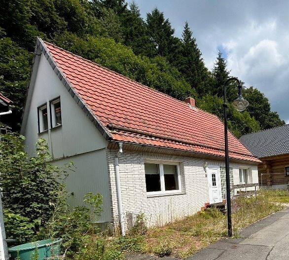 Einfamilienhaus Ehemaliges Ferienhaus, 37449 Walkenried (Zorge)