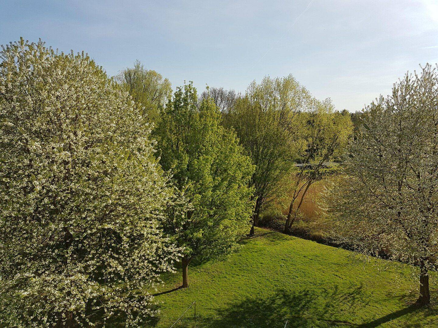 Südbalkon, freier Blick ins Grüne, 4Raumwohnung, 1219 Dresden