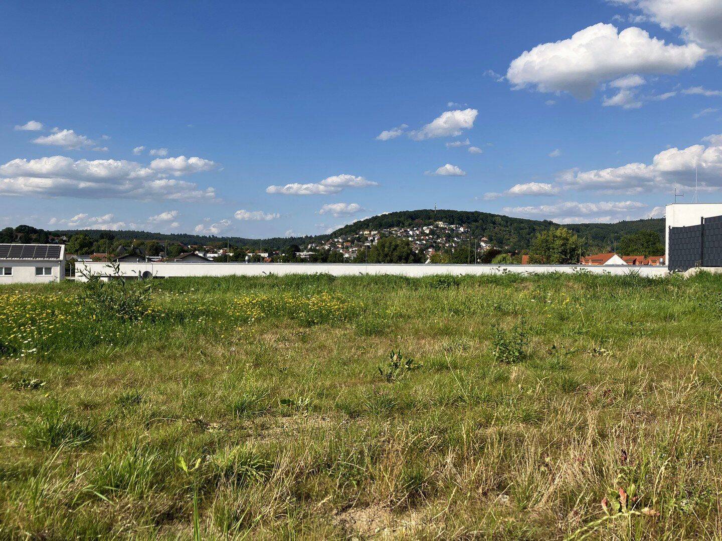 +++ Baugrundstück für Ihr Eigenheim +++, 63654 Büdingen
