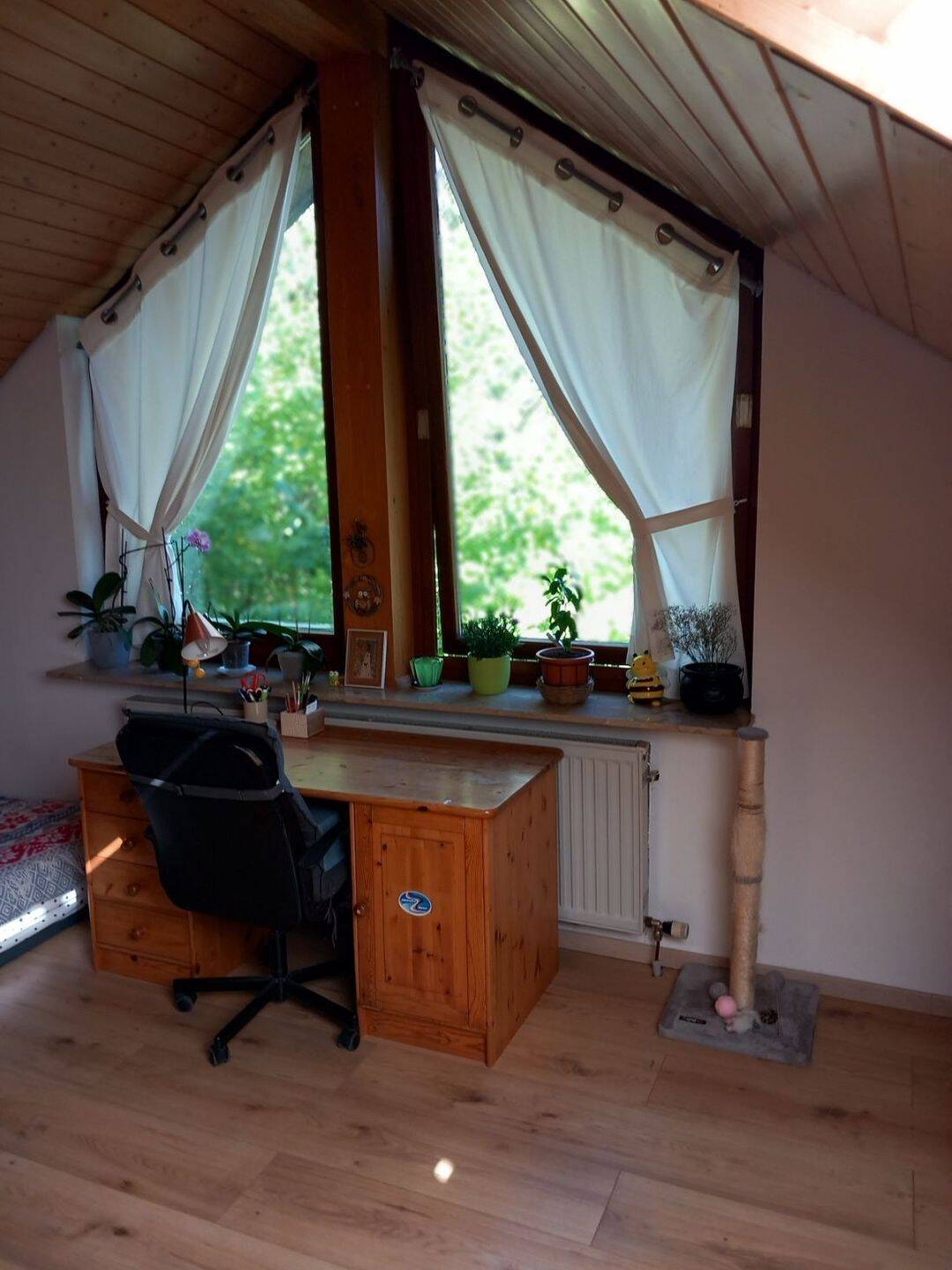Sonnige 1-Zimmer Dachgeschoßwohnung, 72135 Dettenhausen