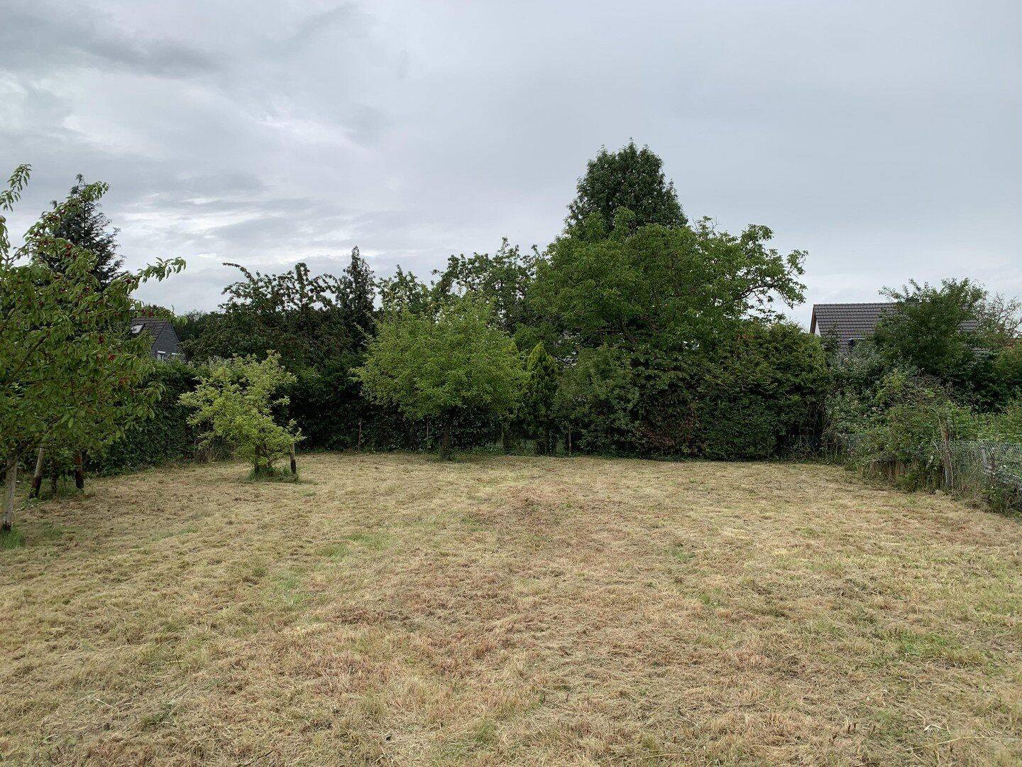 Baugrundstück am Kottenforst: 873 m² mit Süd-/Südwestlage in Bonn-Ippendorf – provisionsfrei, 53127 Bonn (Ippendorf Lengsdorf Poppelsdorf Venusberg)