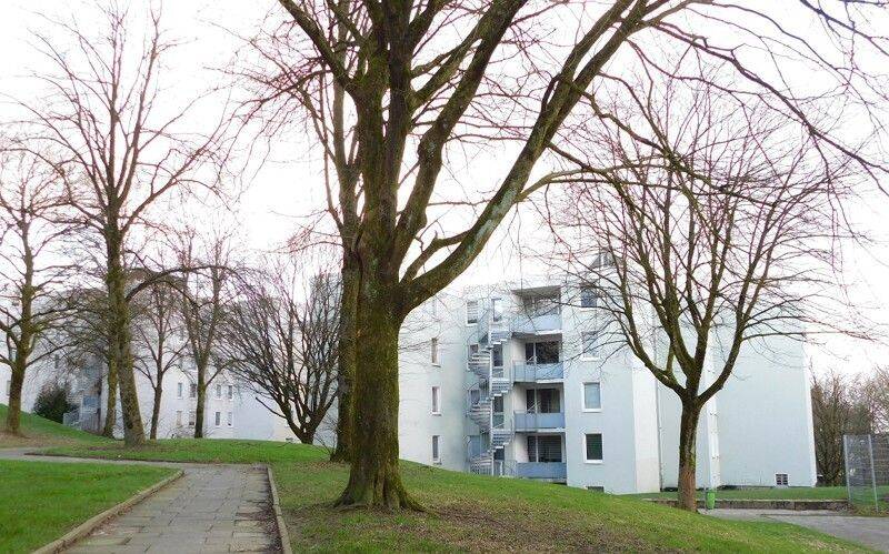 Gemütliche 2-Zi.-Whg. mit sonniger Loggia in Vohwinkel- auf Wunsch zum 01.12.2026 frei, 42329 Wuppertal (Vohwinkel)