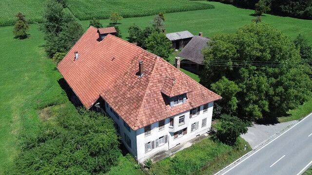 Ehemaliges landwirtschaftliches Anwesen mit Nebengebäuden zwischen Wiesen/Hopfenfeldern bei Bodnegg!, 88285 Bodnegg