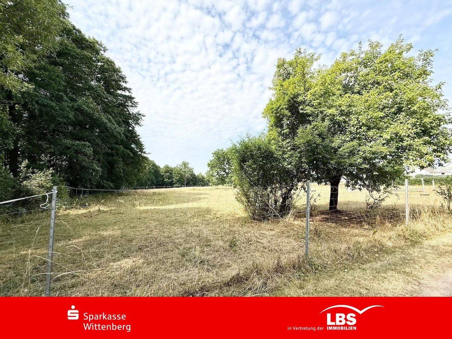 Den Wald direkt von der Haustür, 6925 Annaburg