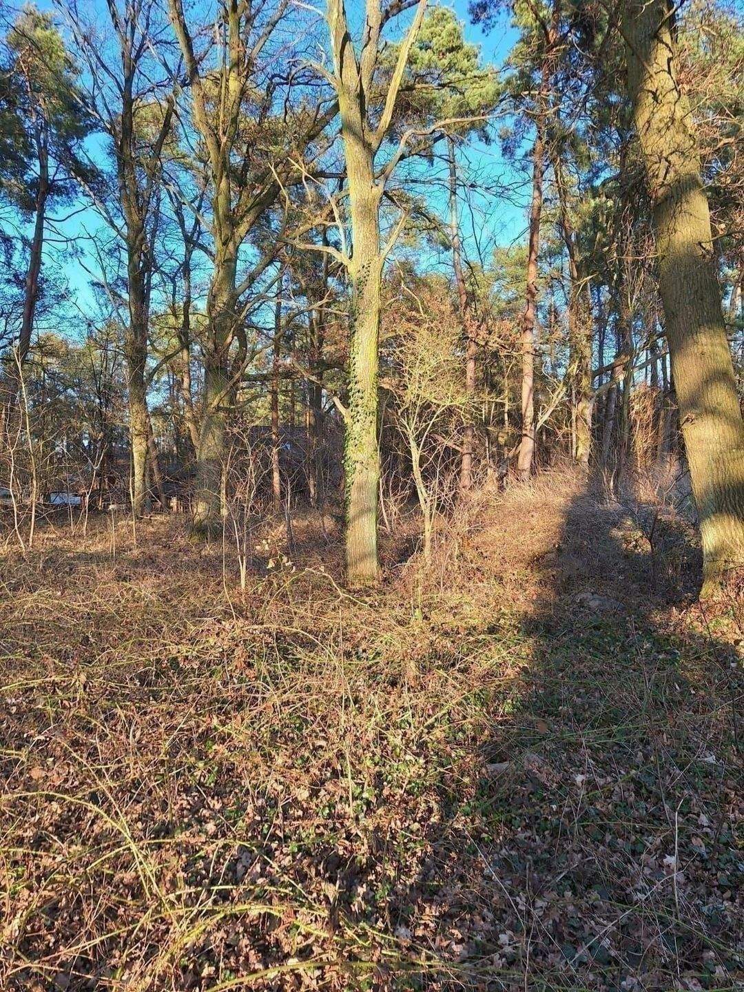 Baugrundstück nach § 34 BauGB mit kompletter Versorgung, 29456 Hitzacker (Elbe)