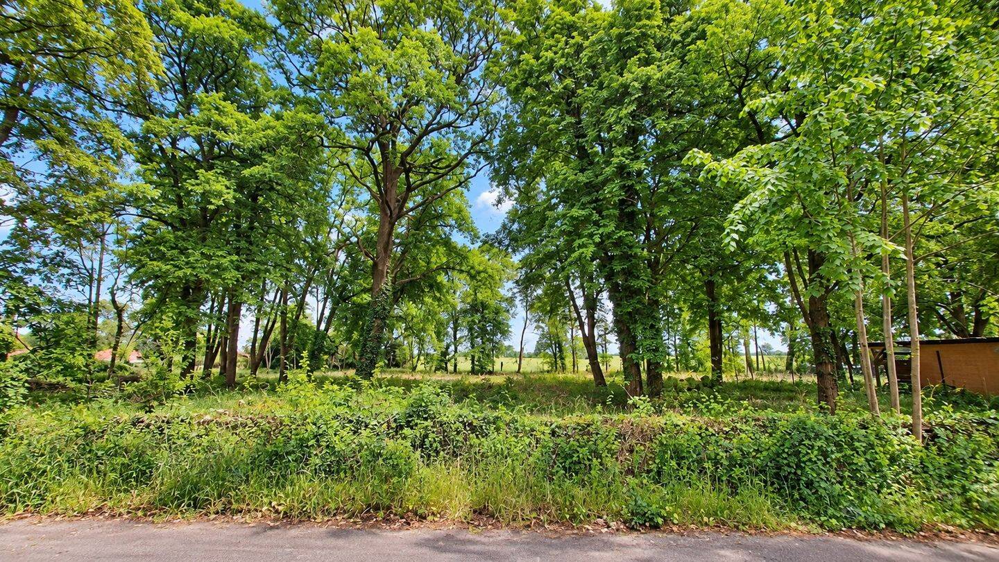 5.151 m² für Ihre Wohnideen – positiver Vorbescheid für zwei Einfamilienhäuser, 39288 Burg