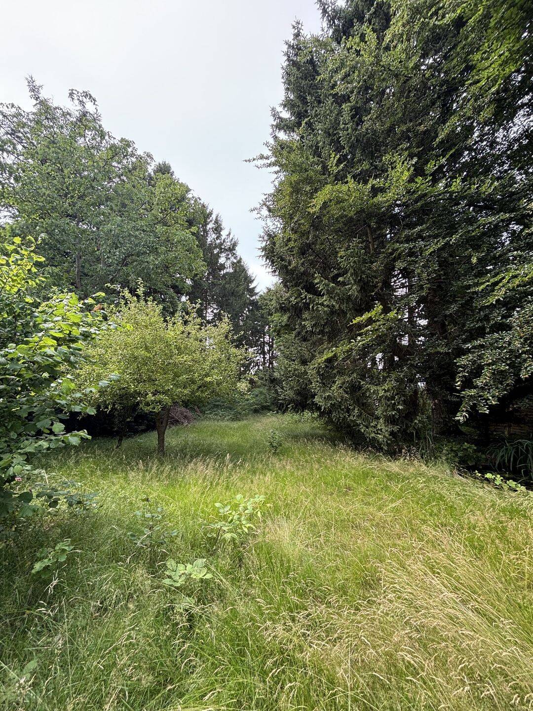 Wunderschönes EFH Grundstück in Bergstedt am Naturschutzgebiet unter Bodenrichtwert!, 22395 Hamburg (Wandsbek Bergstedt Poppenbüttel Sasel Wohldorf-Ohlstedt)