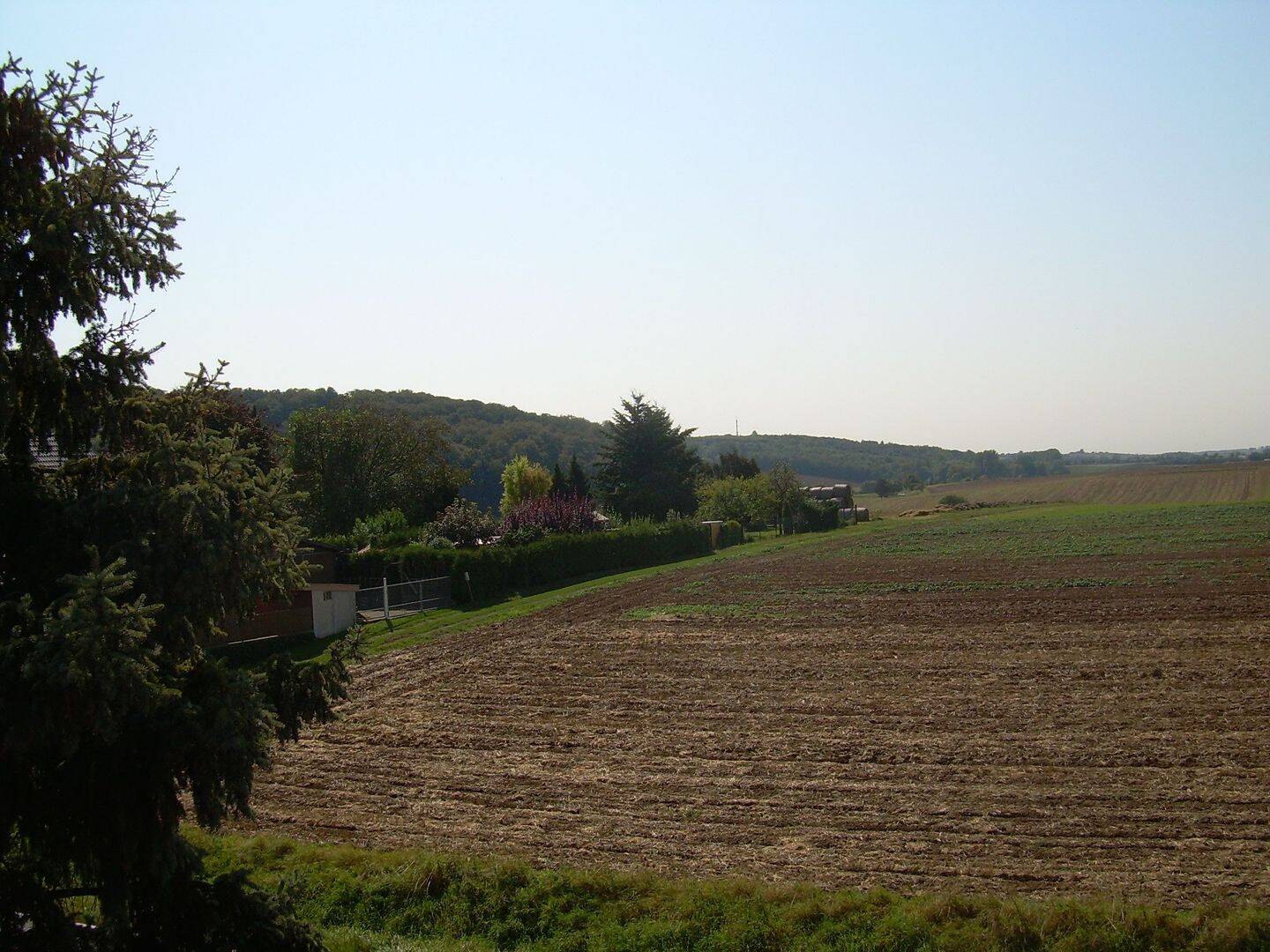 Günstige 3-Zi-Whg. mit großem Balkon, 63654 Büdingen