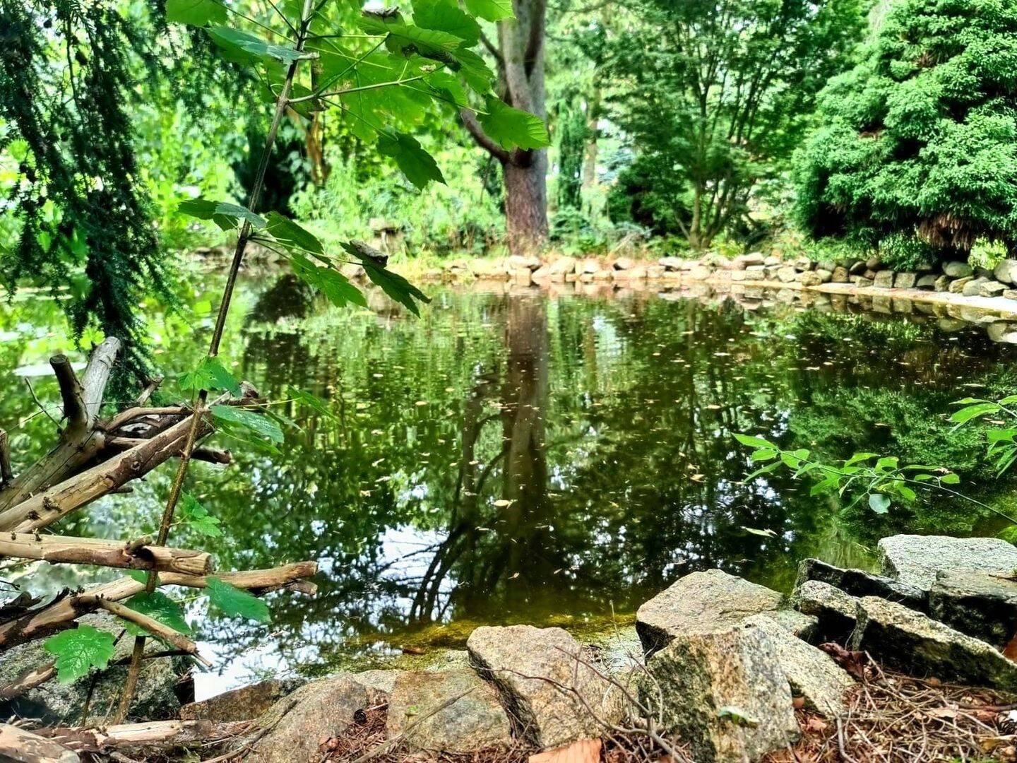 Ehemaliger Schaugarten einer Baumschule möchte wiederbelebt werden!, 3159 Döbern