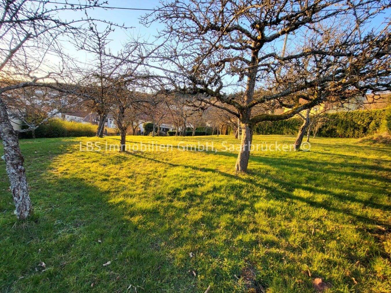 Baugrundstück in Wadern/Steinberg – 702 m² – kurzfristig bebaubar, 66687 Wadern