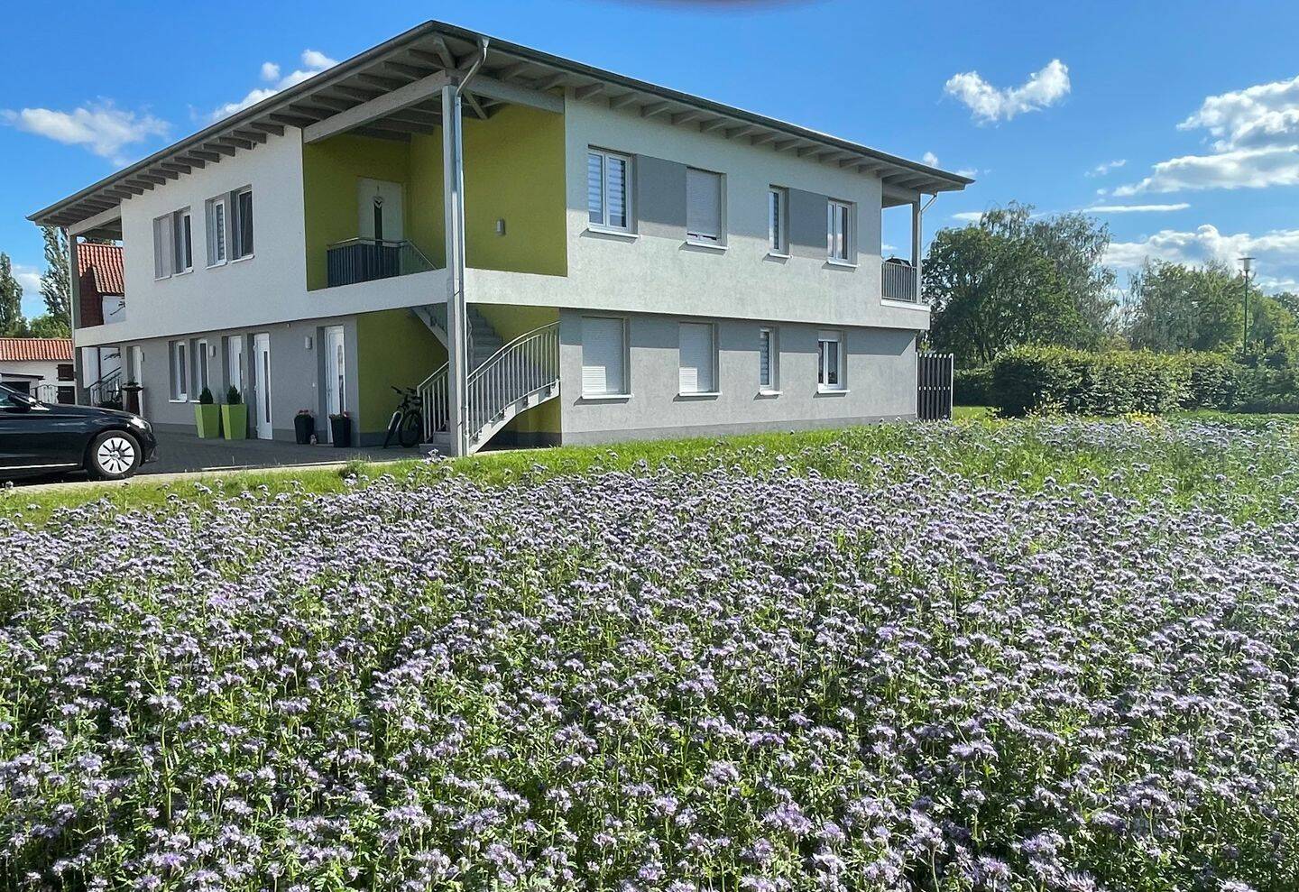 Moderne 4 Raum Wohnung mit Balkon, 99189 Walschleben