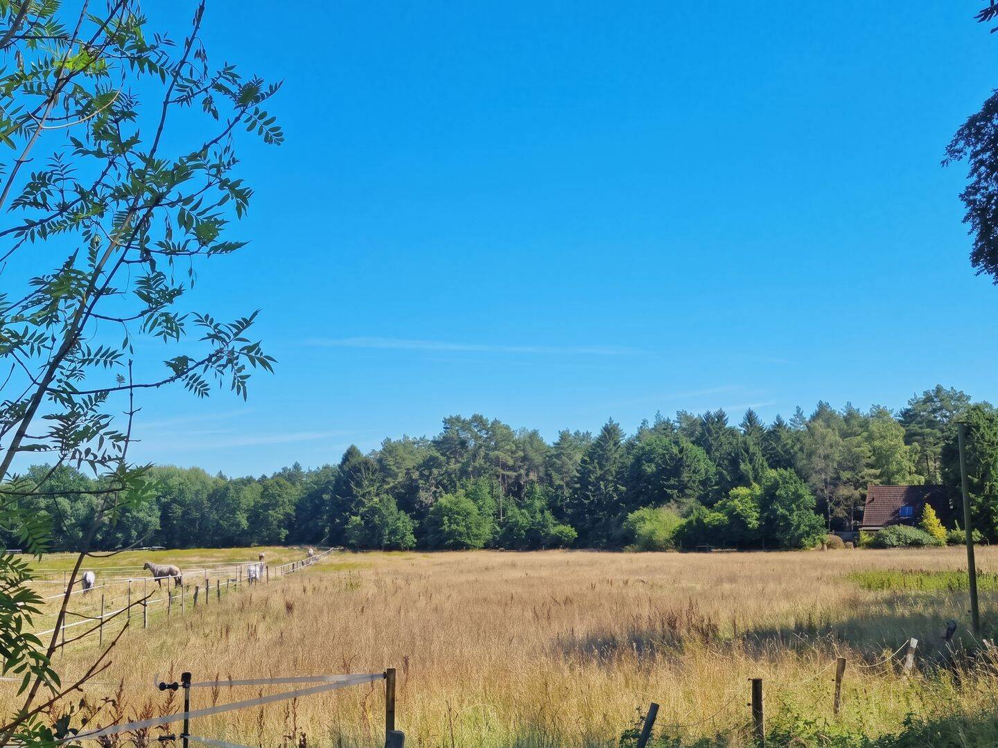 Ein Ort für Visionen: Einzigartiges Sanierungsobjekt mit ca. 11.500 m² Grundstück, 21271 Asendorf