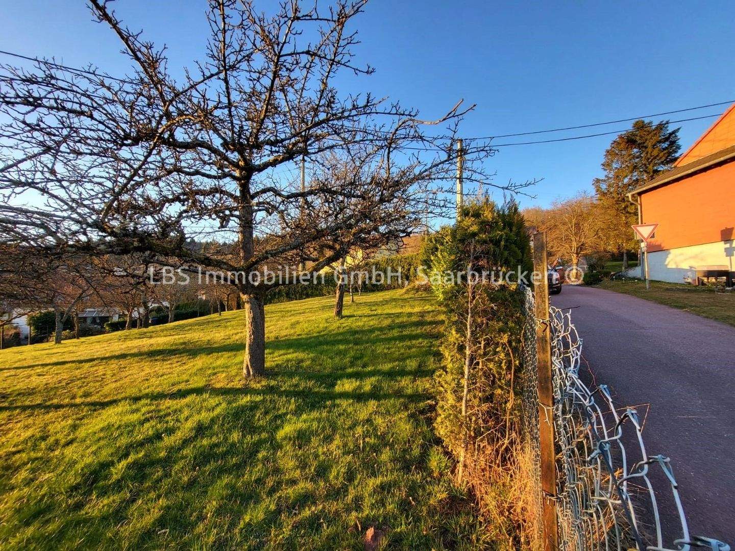 Baugrundstück in Wadern/Steinberg – 719 m² – kurzfristig bebaubar, 66687 Wadern