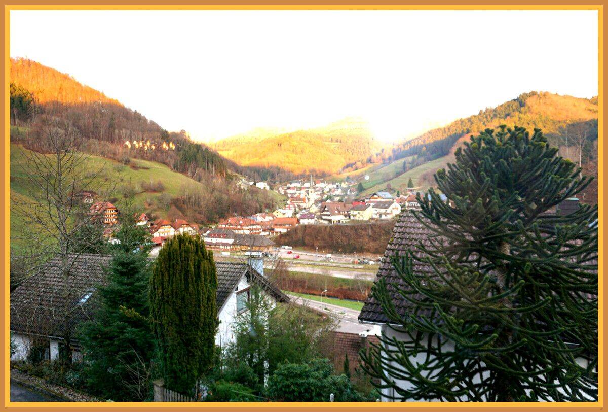 Charmante 2-Zimmer-Wohnung mit traumhaftem Ausblick ! Wohnen, wo andere Urlaub machen! Bezugsfrei !, 77740 Bad Peterstal-Griesbach