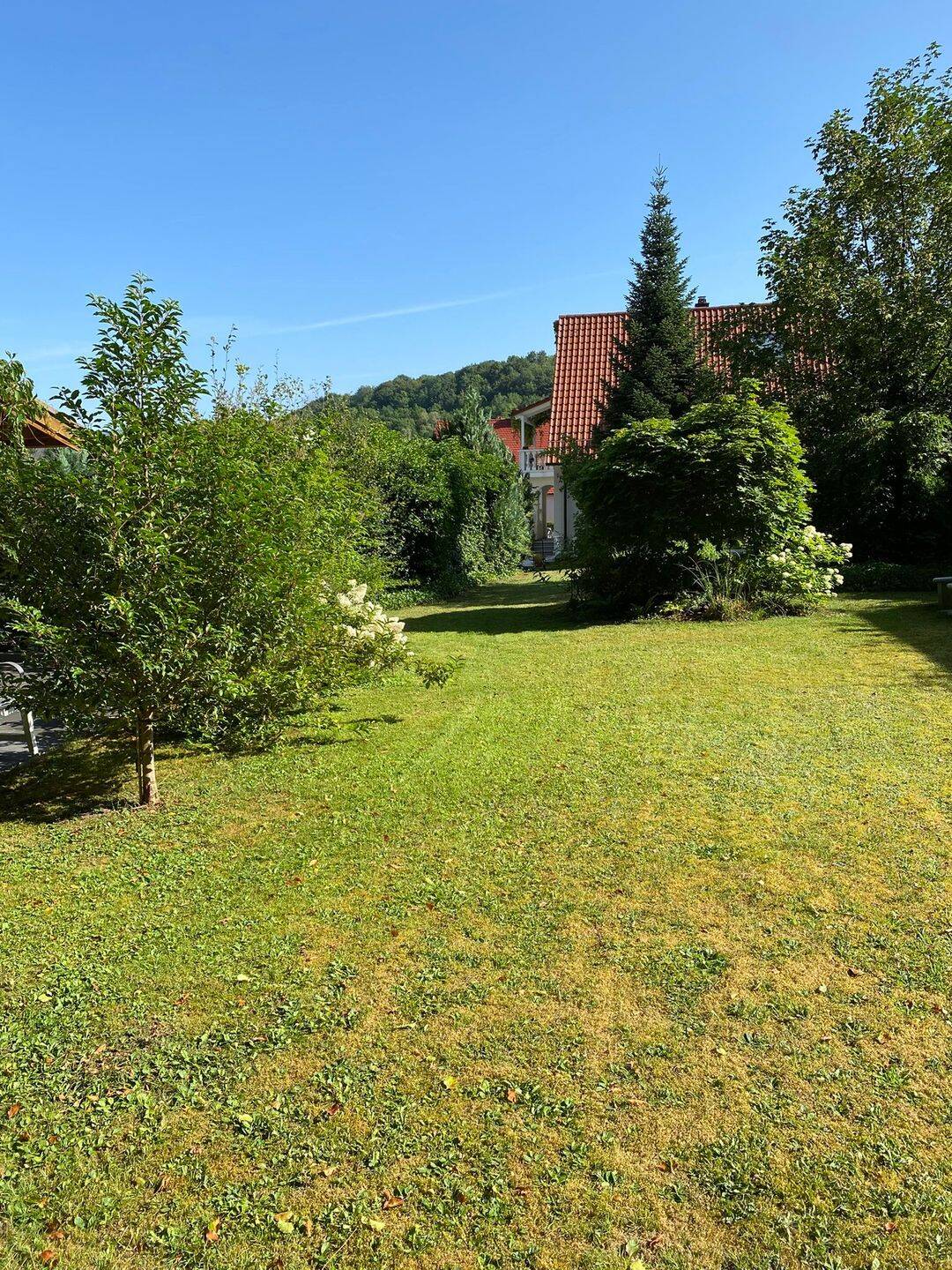 Wohntraum am Waldrand:  1042 m² Grundstück in Top-Lage in Neumarkt – Wolfsteinsiedlung mit charmantem Einfamilienhaus, 92318 Neumarkt i.d. OPf.