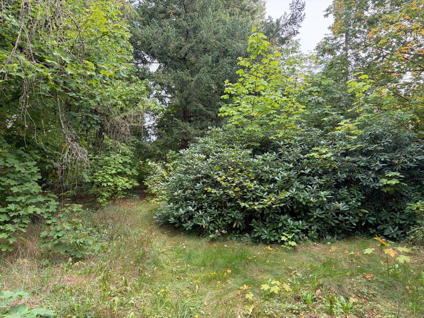 Rarität in begehrter Bestlage von Salzhausen: Baugrundstück mit Altbestand im Stiepelsberg !, 21376 Salzhausen