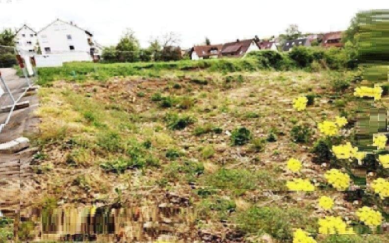 13.600 m2 Baugrund + Baugenehmigung für 4.500 m2 BGF für Eigentumswohnungen-Wohnanlage mit 2 Ladengeschäften, 14513 Teltow