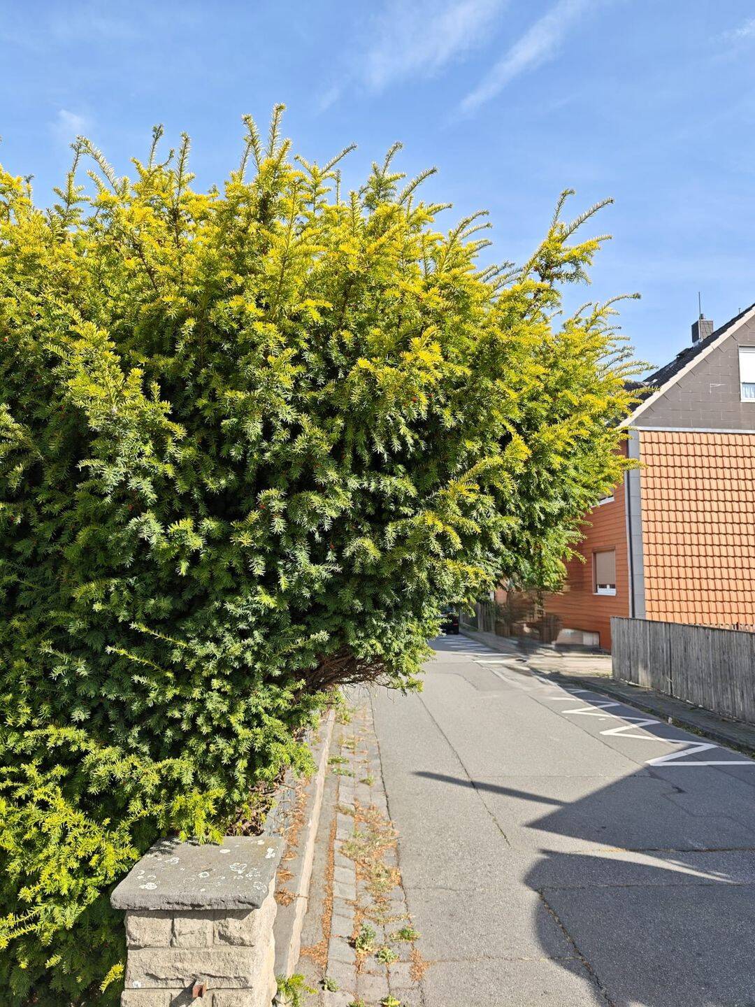 4-Zimmer-Wohnung in Vienenburg – frisch saniert, 38690 Goslar