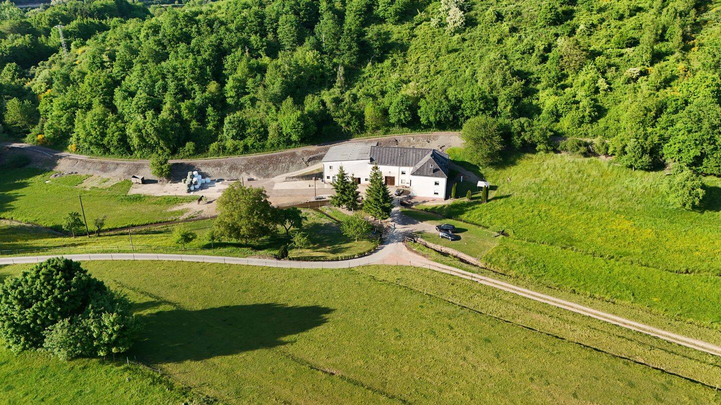 Idyllischer Bauernhof in Alleinlage Ideal für Tierliebhaber, 54439 Saarburg