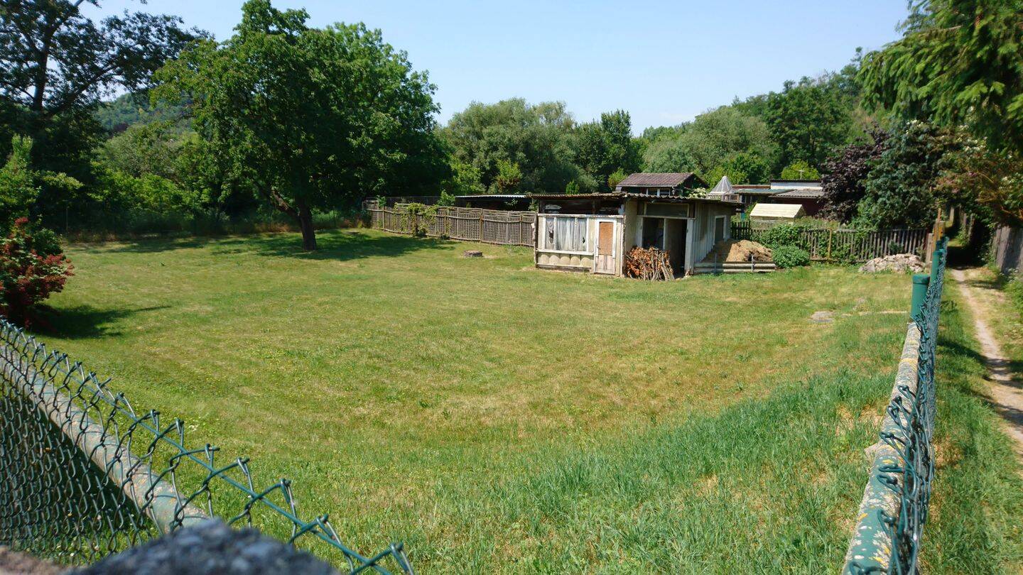 Gartengrundstück an der Saale, 7774 Dornburg-Camburg