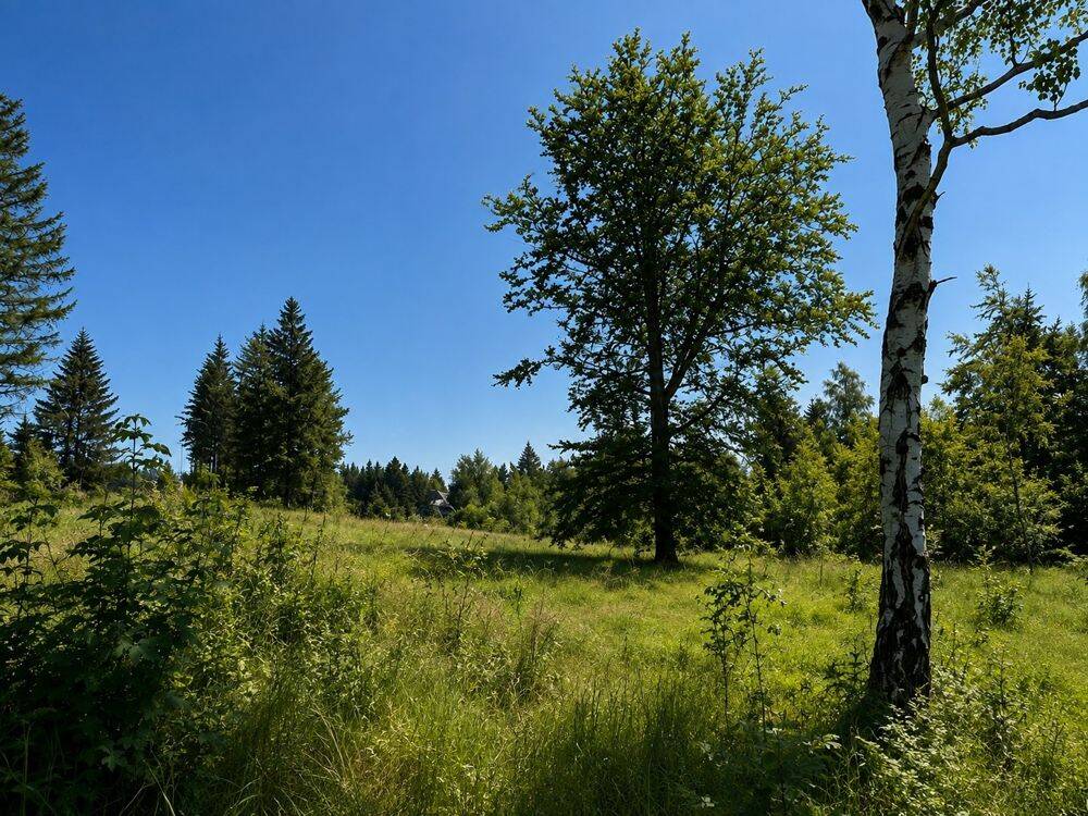 Wo Ruhe noch Raum hat – Baugrundstück in Altenberg, 1773 Altenberg