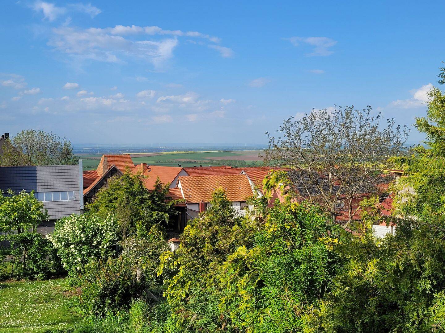 Traumhaftes Grundstück in Witterda zu verkaufen, 99189 Witterda