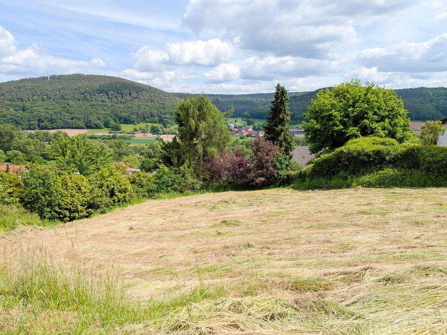 Toller Bauplatz in ruhiger Lage mit unverbaubarem Blick in Höchst!, 64739 Höchst i. Odw.