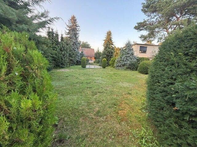 Baugrundstück mit eigenem Weg in 2.Reihe und viel Privatsphäre in Berlin – Mahlsdorf – Süd, 12623 Berlin (Marzahn-Hellersdorf Kaulsdorf Mahlsdorf)