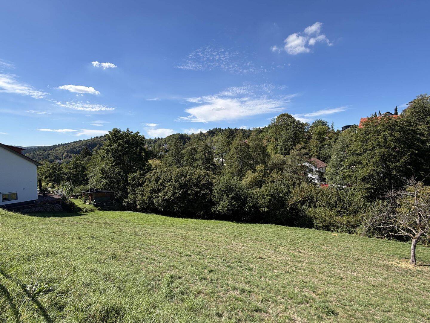 Sonniges Grundstück mit Weitblick, 69198 Schriesheim
