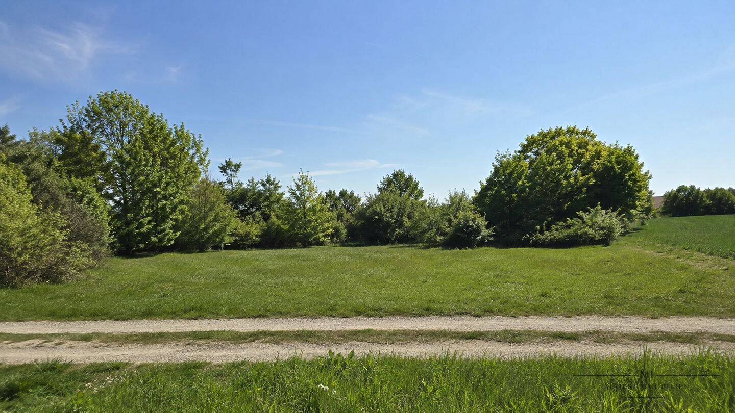 Seltene Grundstücksgelegenheit in naturnaher Lage – ca. 985 m² mit Entwicklungspotenzial, 91183 Abenberg