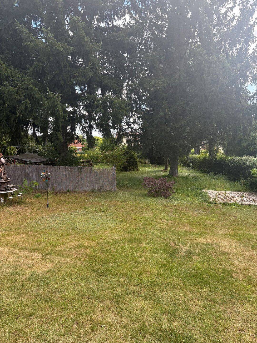 Gut angebunden & flexibel nutzbar – Baugrundstück mit Perspektive in Briesen, 15518 Briesen (Mark)